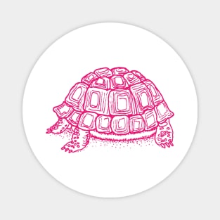 Turtle in pink Magnet